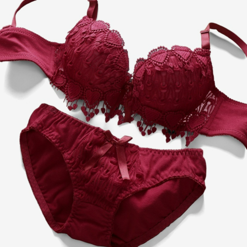 Sweetheart Lace Embroidery Lingerie Set - StylinArts-Bras and Briefs-StylinArts