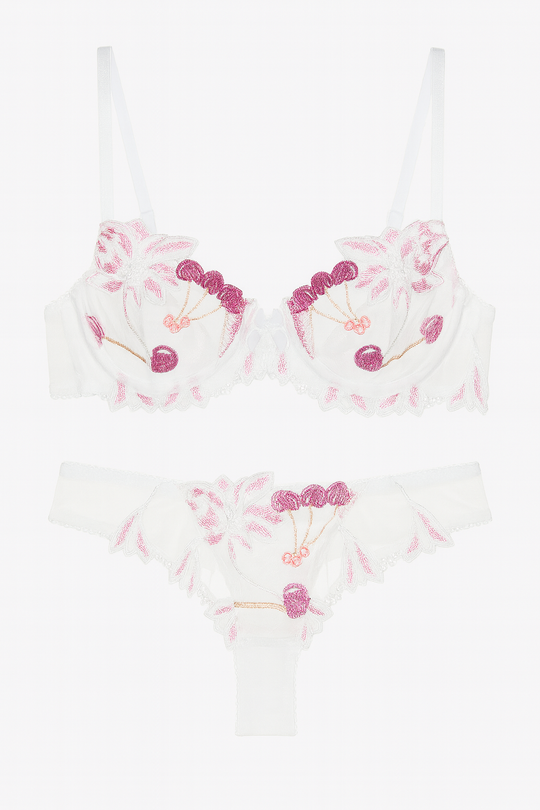 Elara Embroidered Mesh Bra & Brief Set-White-70B-Bras and Briefs-StylinArts