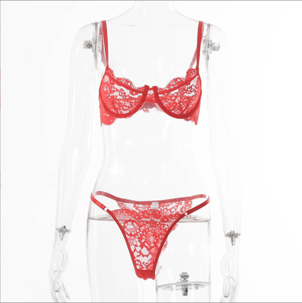 Whispering Mesh Romance Lingerie.-Bras and Briefs-StylinArts